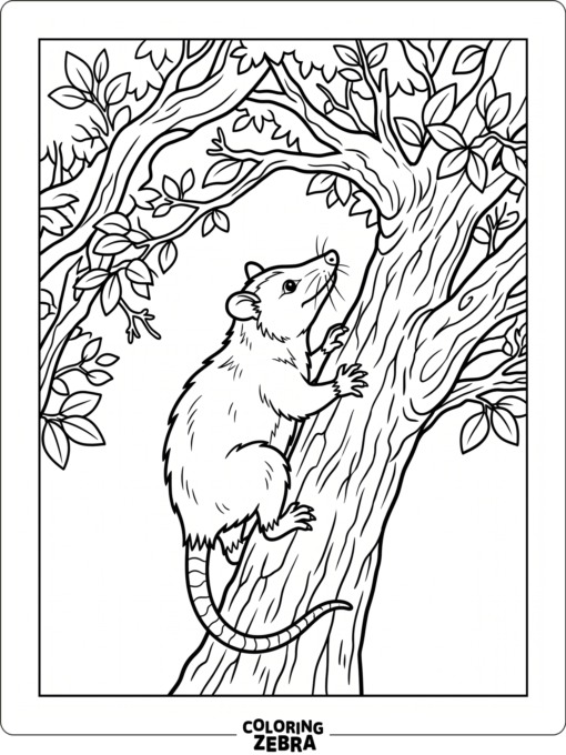 An opossum climbing a tree trunk