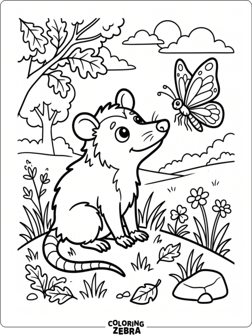 An opossum watching a butterfly in the grass