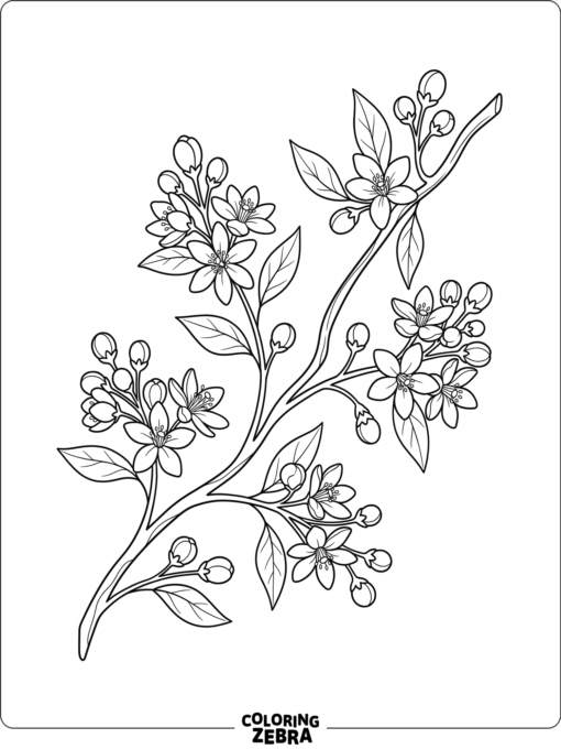 An orange blossom branch with buds and leaves