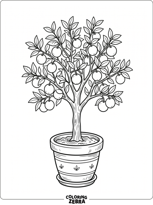 A potted orange tree with round fruit and simple leaves