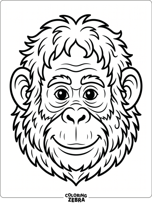 A head shot of an orangutan with shaggy fur