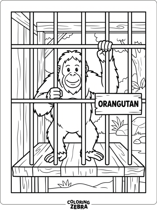 An orangutan behind zoo bars with a platform