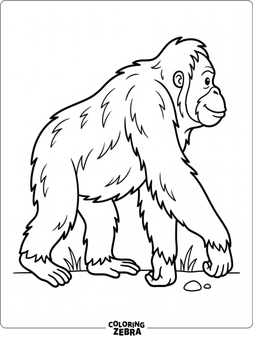 A simple outline of an orangutan in profile