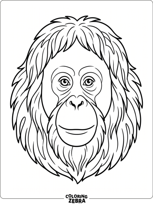 A close orangutan face portrait with long fur around the head