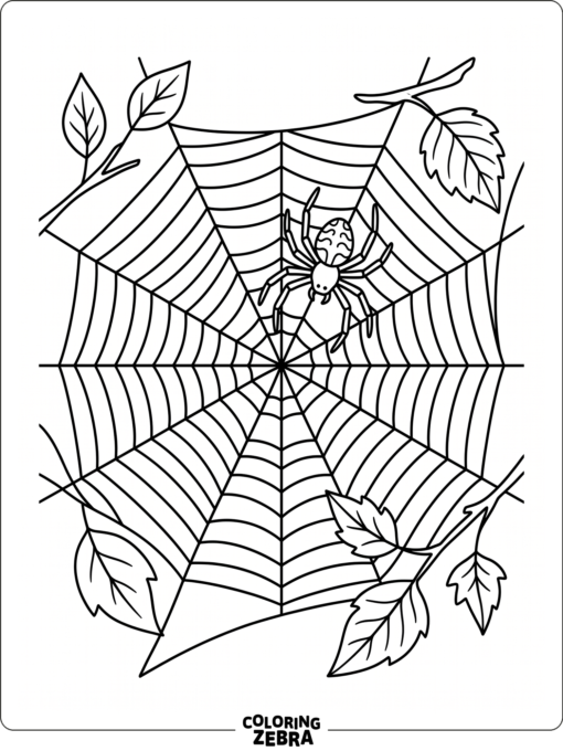 An orb weaver spider on a round web