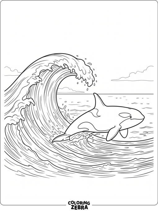 An orca gliding through calm water with bold black and white markings