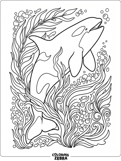An orca with flowing sea plants and bubbles