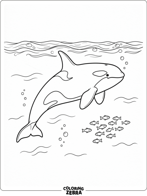 An orca underwater with fish nearby