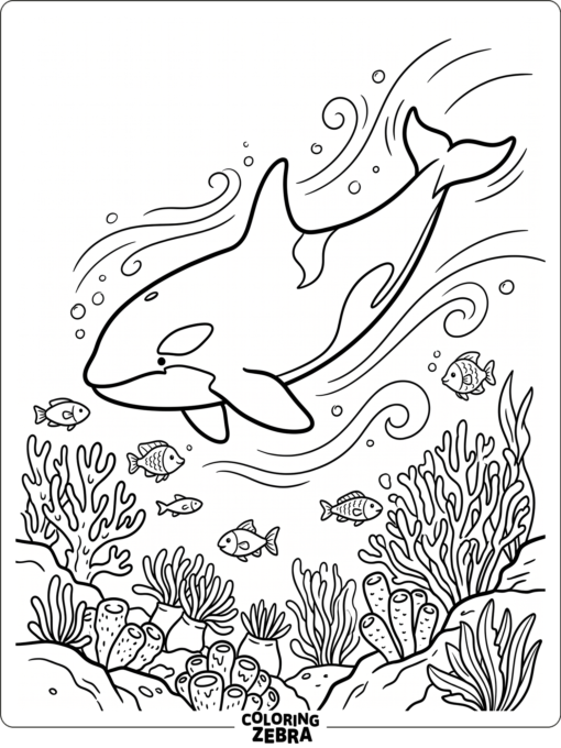 An orca in a coral reef with fish