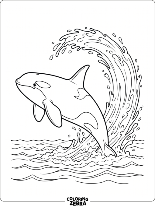 An orca jumping out of the water with a splash