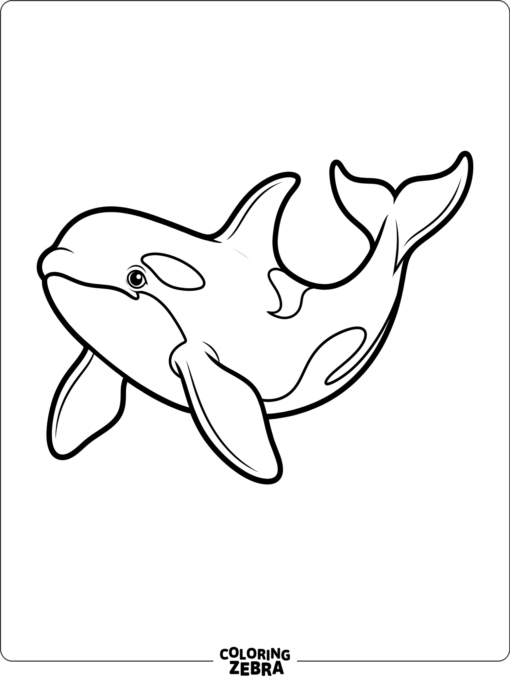 A clean orca outline with wide fins