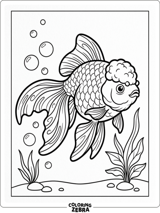 An oranda goldfish with flowing fins