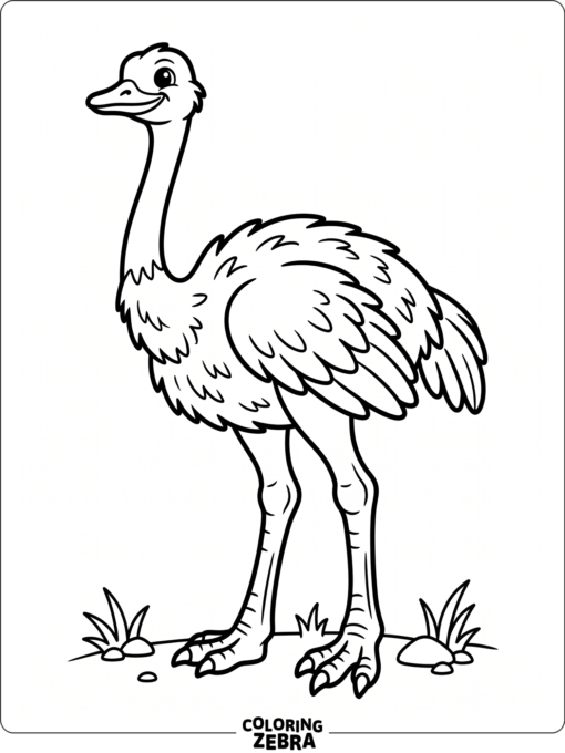 A standing ostrich bird with long legs and a broad body