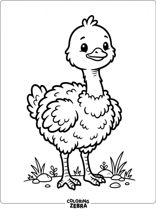 A small ostrich chick with fluffy down and tiny feet