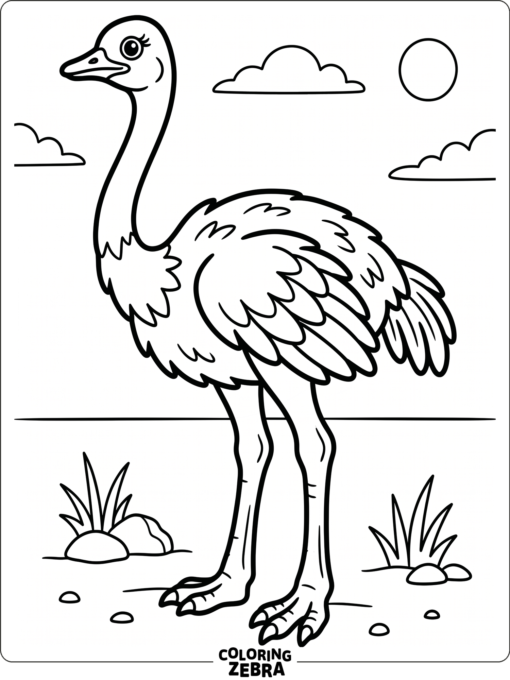 An ostrich in profile with long legs and an open background