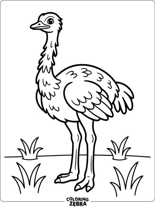 An ostrich standing on plain ground with a few grass tufts