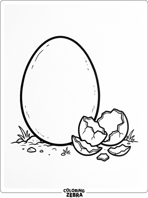 A large ostrich egg beside a few cracked shell pieces