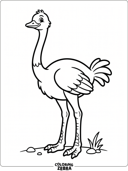 A clean ostrich outline with a long neck and legs