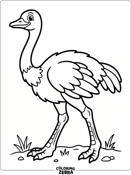 A side view of an ostrich with a long neck