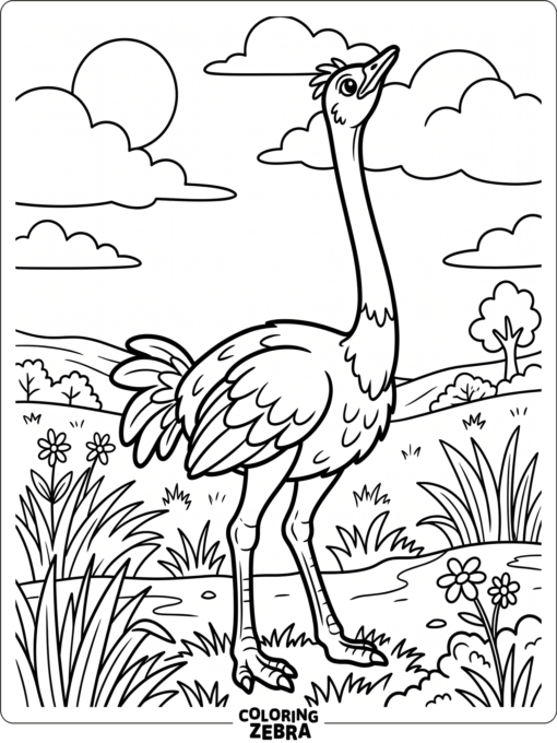 An ostrich with a very long neck standing in open space
