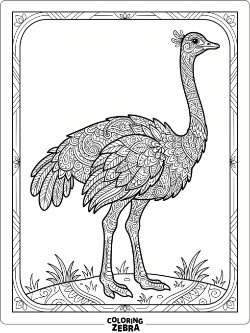 An ostrich filled with zentangle style patterns