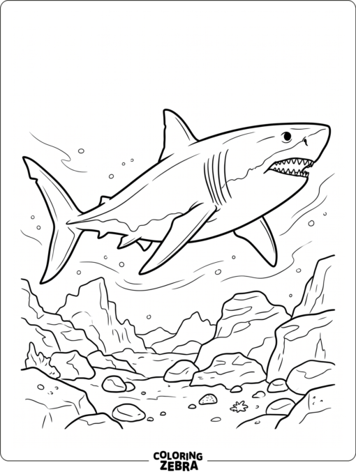 An otodus shark swimming over the sea floor