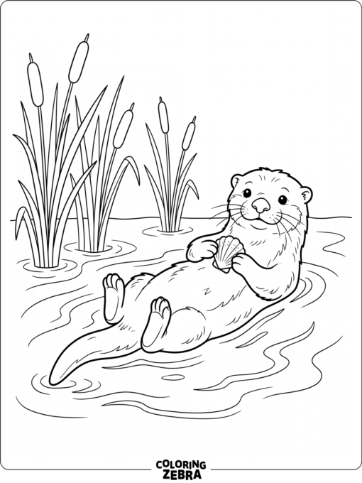 An otter floating on its back with a seashell by the water