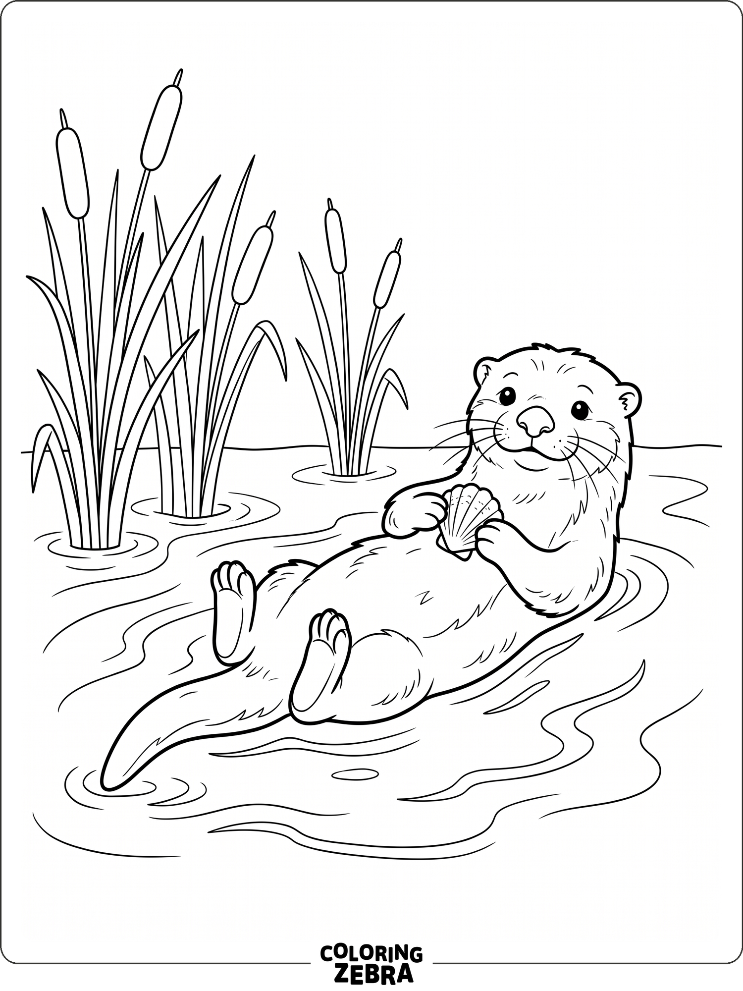 An otter floating on its back with a seashell by the water