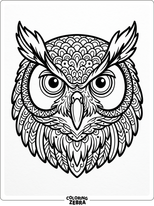 A simple owl face with bold outlines