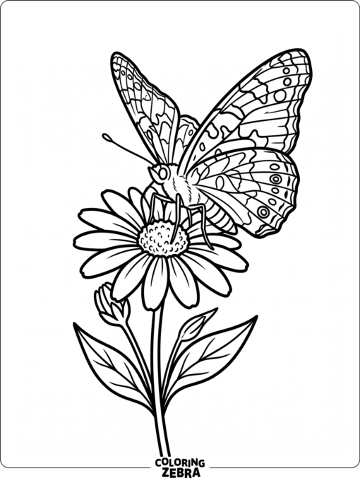 A painted lady butterfly sitting on a flower