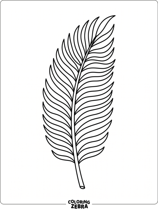 A long palm leaf with curved fronds