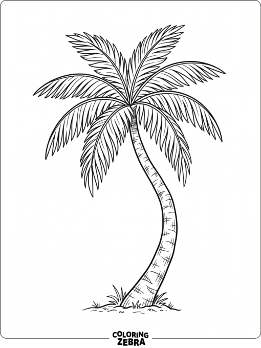 A lone palm tree with a curved trunk and broad leaves