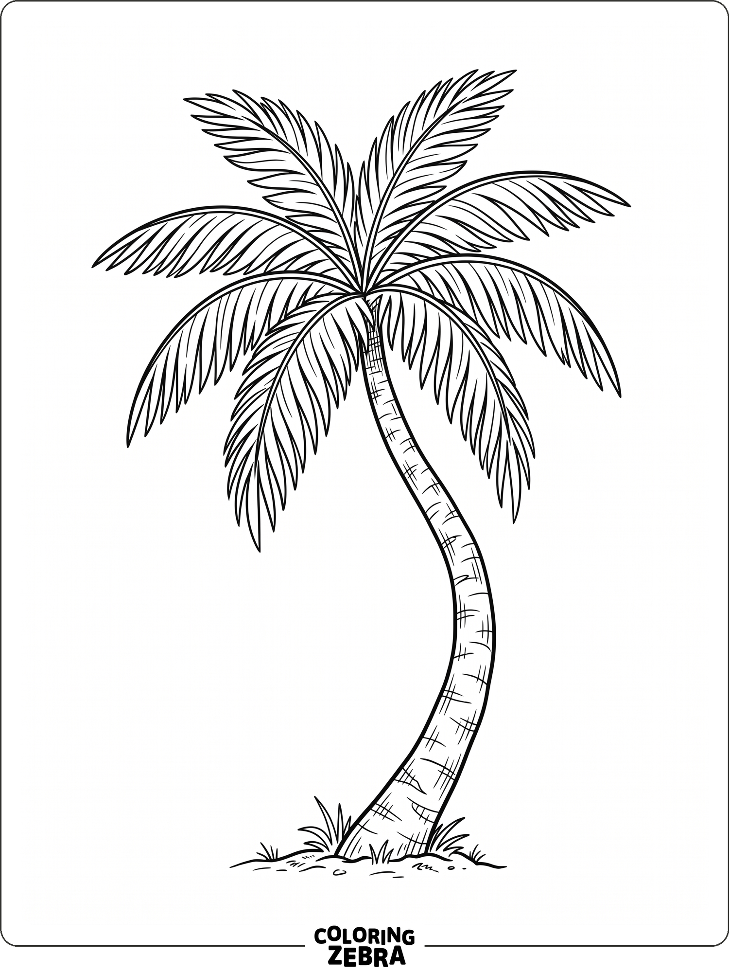 A lone palm tree with a curved trunk and broad leaves