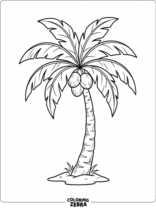 A palm tree with coconuts hanging under the fronds
