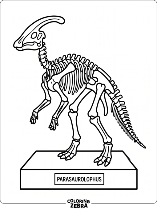 A parasaurolophus skeleton on a simple base