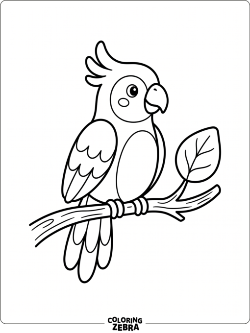 An easy parrot on a branch with one leaf