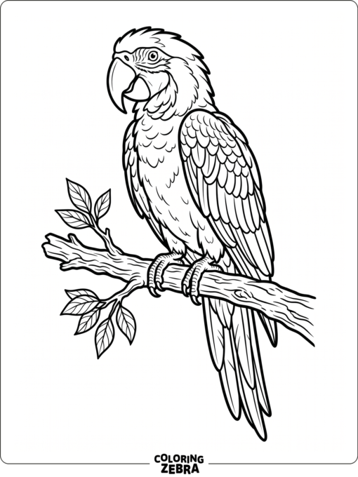 A clean parrot outline on a branch
