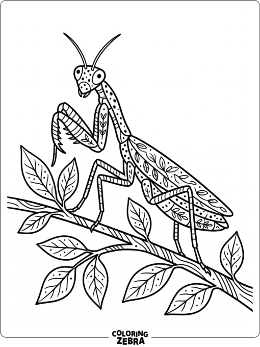 A praying mantis covered in repeating spots and stripes