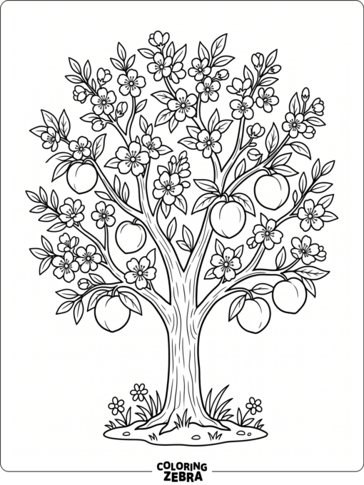 A peach tree with blossoms and ripe fruit