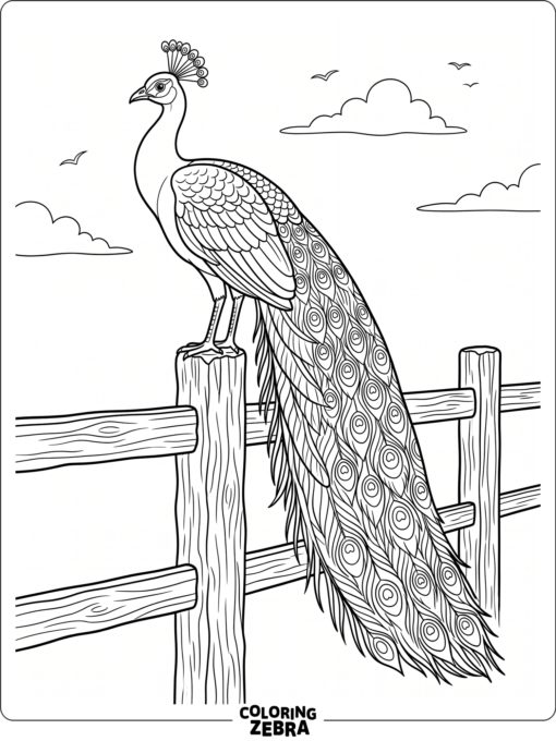 A peacock perched on a fence post with a long tail