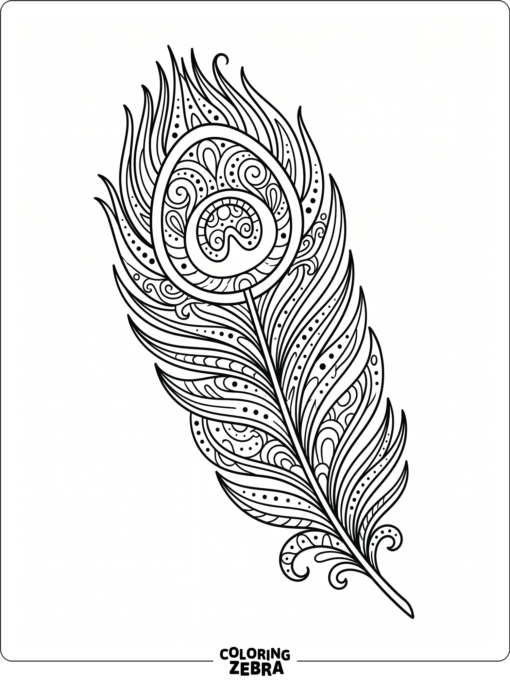 A large peacock feather with ornate patterning