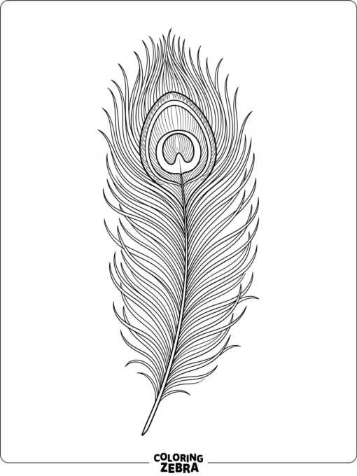 A single peacock feather with a large eye pattern