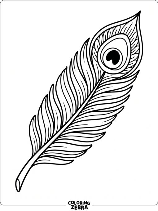 A peacock feather laid diagonally with layered details