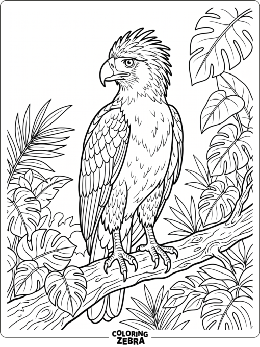 A Philippine eagle standing on a branch