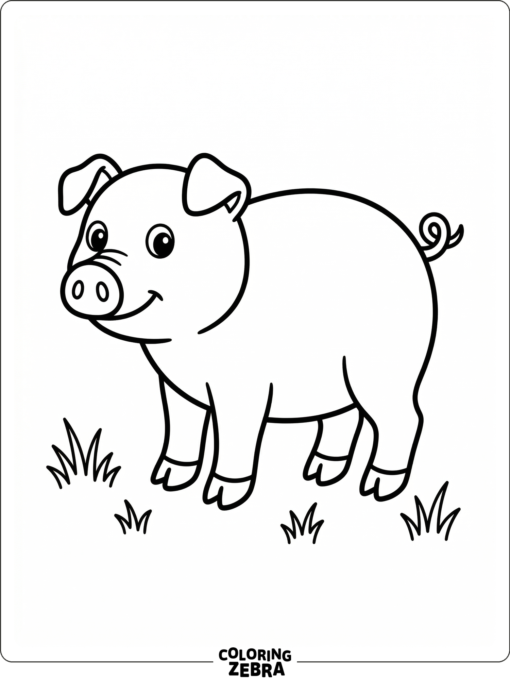 A simple pig standing on a clean white background