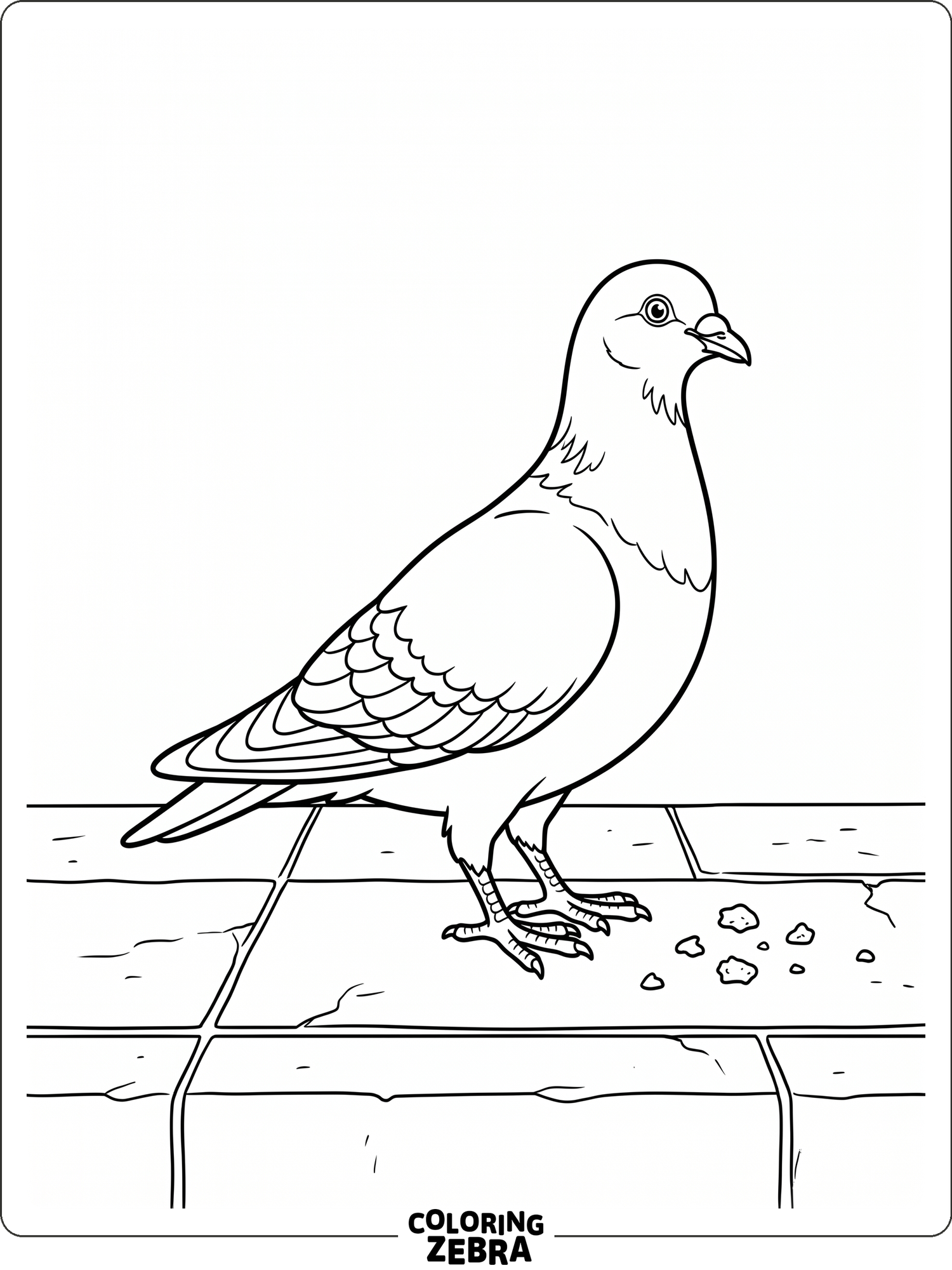 A pigeon on the ground beside a few crumbs