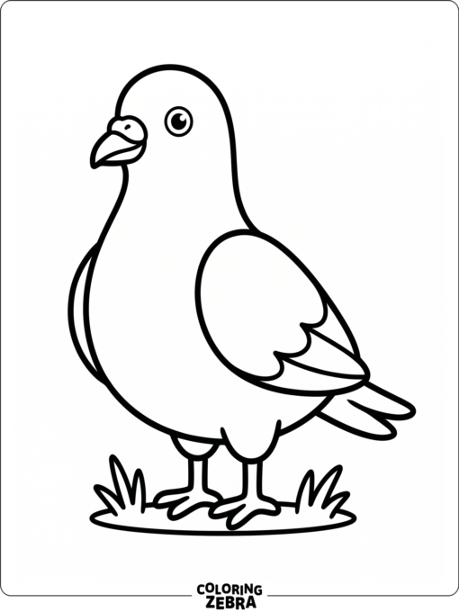 A simple pigeon outline with clear lines