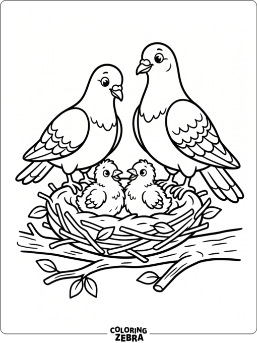 A pigeon family with two chicks in a nest