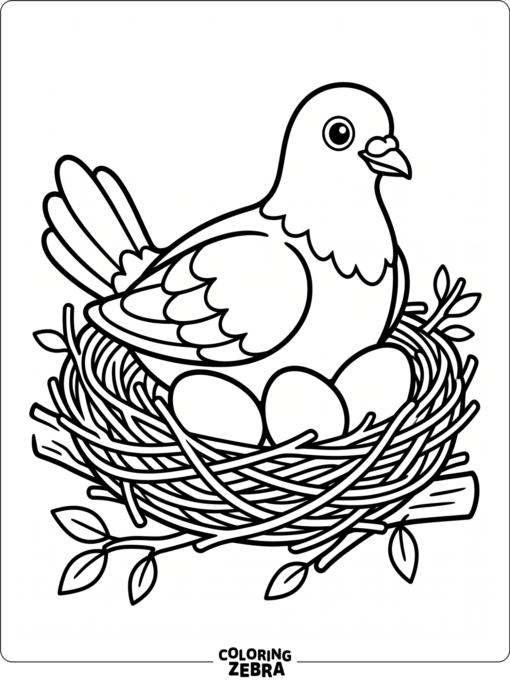 A pigeon sitting in a nest with eggs