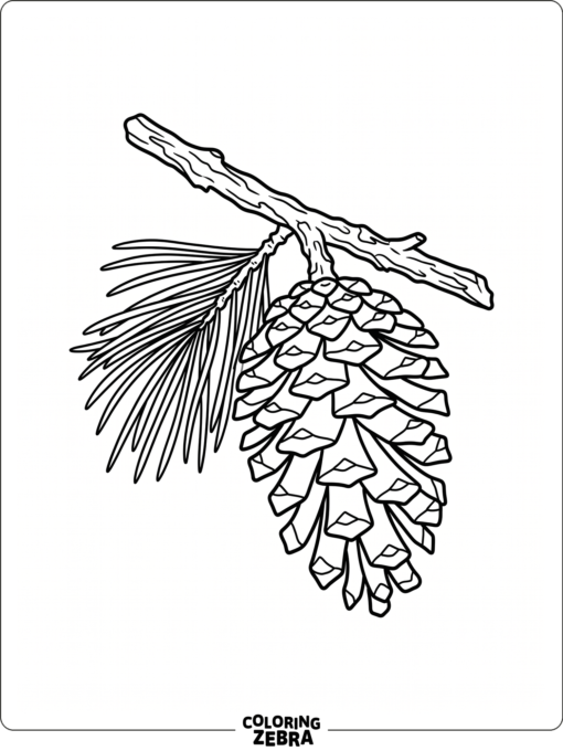 A pine cone on a pine twig with a few needles